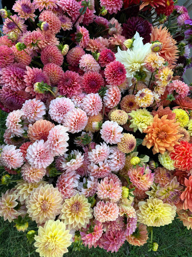 2025 Wedding Floral Trends from a Flower Farmer