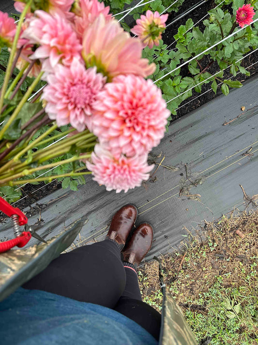 Our Blooming Journey -- Wild Earth Flower Farm