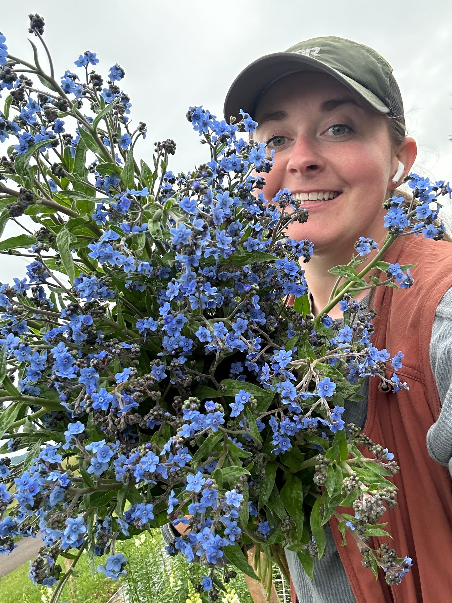Chinese Forget Me Nots