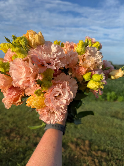 Feathered Peach Lisianthus
